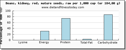 lysine and nutritional content in kidney beans